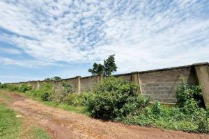 Fenced Land for Sale – Kira
