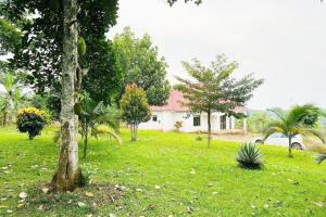 Home for Sale on 1 Acre – Kakiri, Wakiso