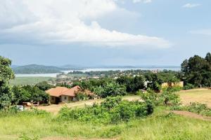 Lake View Plot for Sale – Kigo