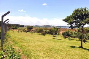 Prime Lake View Land for Sale on Entebbe Road – Kawuku, Bugiri