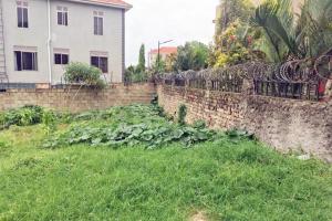 Prime Plot for Sale in Muyenga