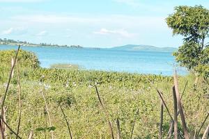 35 Decimals Land on quick sale in Garuga