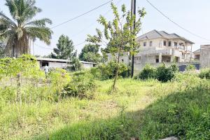 19 Acres of Prime Land for Sale in Nkumba