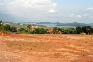 Prime Plots for Sale in Buwate, Kira Town – Secure Your Investment Today!